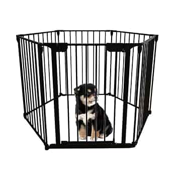 Amazon | シンセーインターナショナル アイリスプラザ 犬